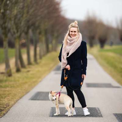 Hundetreffen-Welpen/Junghunde treffen-Profilbild