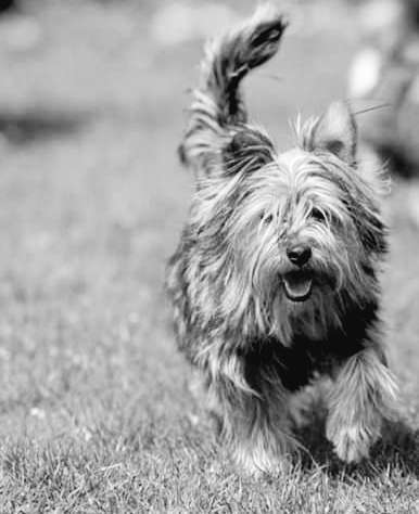 Foto-Challenge 76: Foto in Schwarz-Weiss-Beitrag-Bild