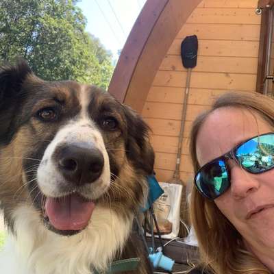 Hundetreffen-Laufrunde-Profilbild