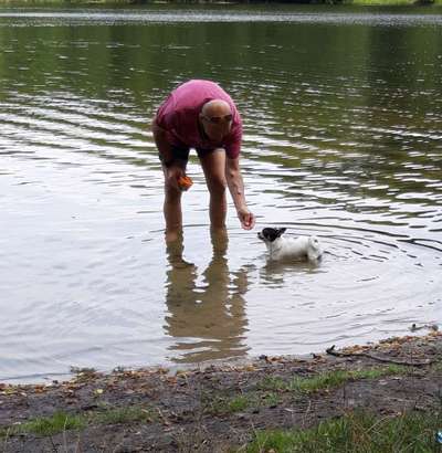 Die Dogorama Wochen Challenge: “Dein Hund im Urlaub”-Beitrag-Bild