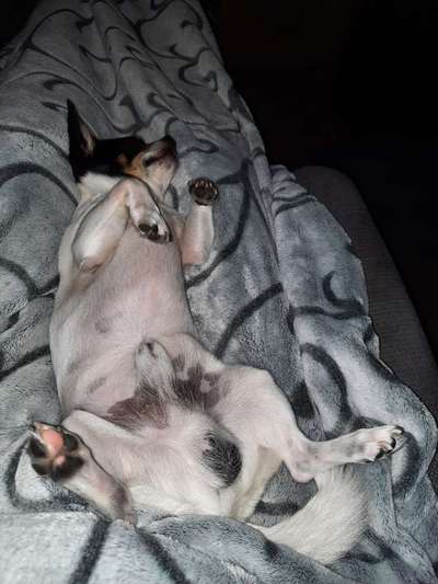 Fotochallenge Nr.65-Beitrag-Bild