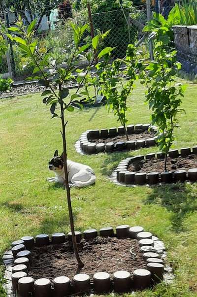 Die Dogorama Kalender Challenge Teil 3/4-Beitrag-Bild