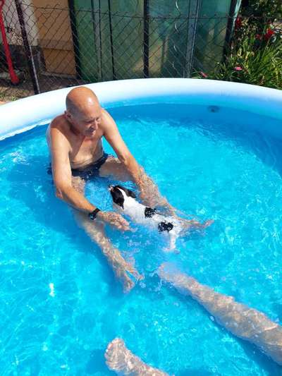 Die Dogorama Kalender Challenge 4/4-Beitrag-Bild