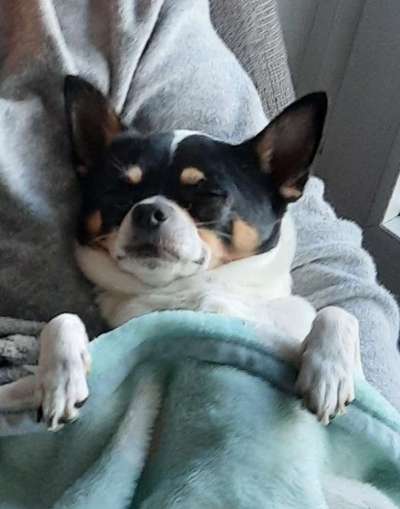 Die unbequemsten und lustigsten Schlafpositionen-Beitrag-Bild