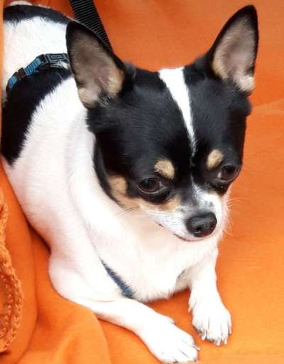 Euer absolutes lieblings Bild !-Beitrag-Bild