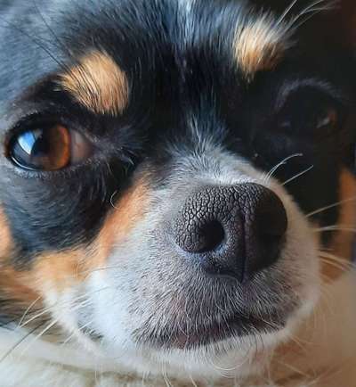 Blick fürs Detail!-Beitrag-Bild