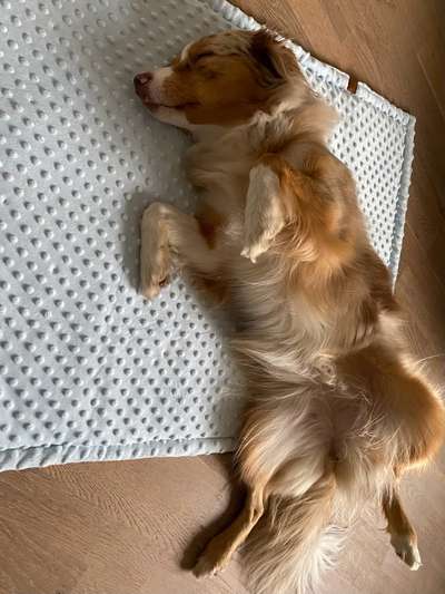 19. Farben  Fottochallenge :
Lieblingsfarbe-Beitrag-Bild