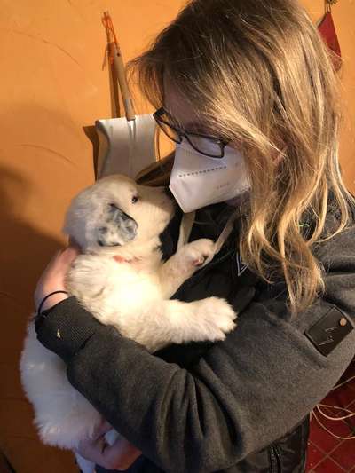 Das erste Foto-Beitrag-Bild