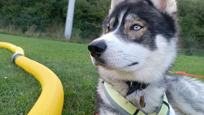 150. Foto Challaenge:  Die Augen, der Spiegel der Seele-Beitrag-Bild