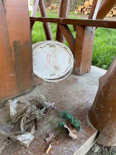 Challenge – Gassi & Clean-Beitrag-Bild