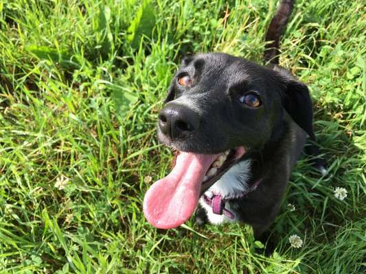 Handyfoto challenge Nr. 13: Waschlappen raus!-Beitrag-Bild