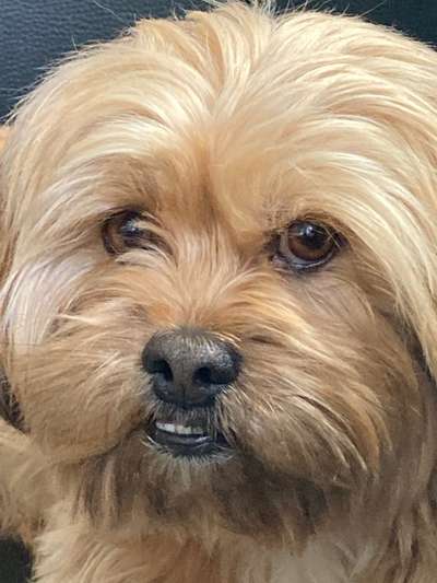 Fotochallange Nr. 57     PORTRÄT.   Beendet!!!!!!!!-Beitrag-Bild