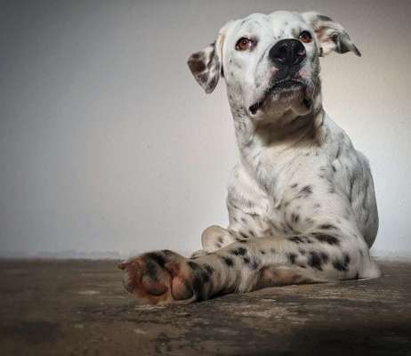 Ist das ein...?-Beitrag-Bild