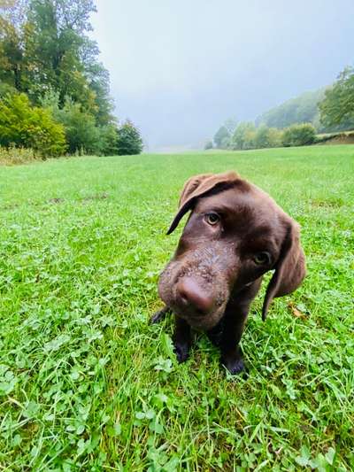 Fotowettbewerb Natur-Beitrag-Bild