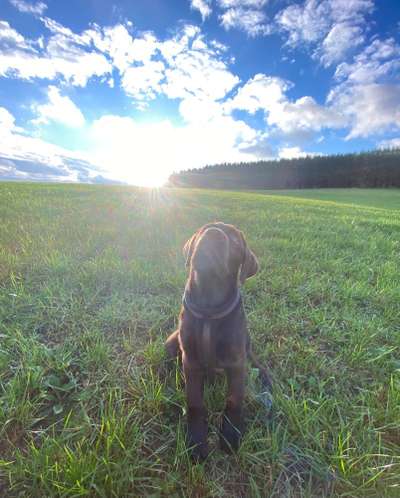 118. Fotochallange-Beitrag-Bild