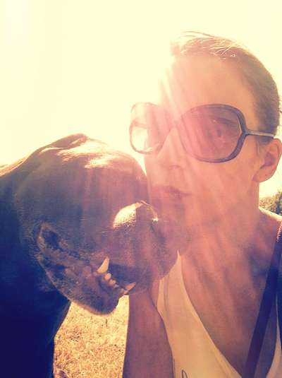 Unsere Fellnasen im Regenbogenland-Beitrag-Bild