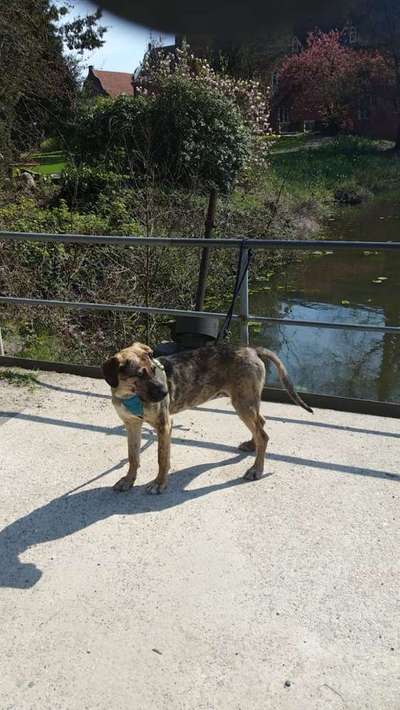 Vorher.... Nachher-Beitrag-Bild