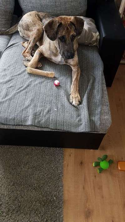 Vorher.... Nachher-Beitrag-Bild