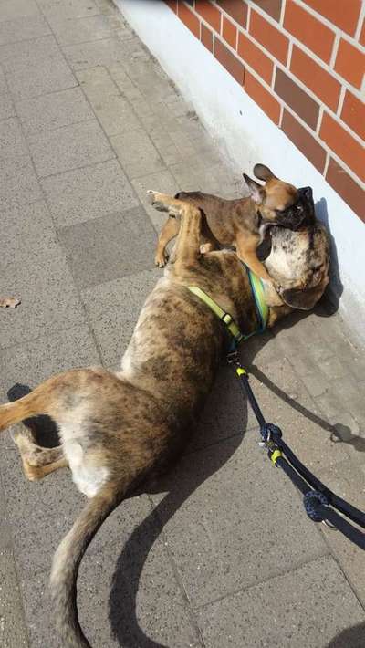 Lieblings Schnappschuss?-Beitrag-Bild