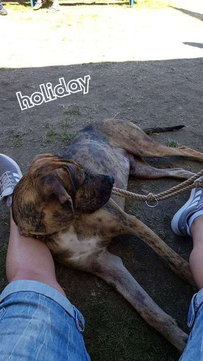 Lieblings Schnappschuss?-Beitrag-Bild