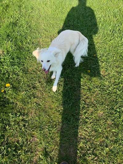 Fotowettbewerb Natur-Beitrag-Bild