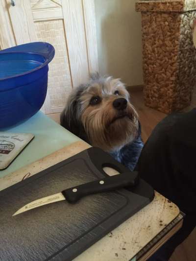 Handy-Foto Challange Nr. 12-Beitrag-Bild