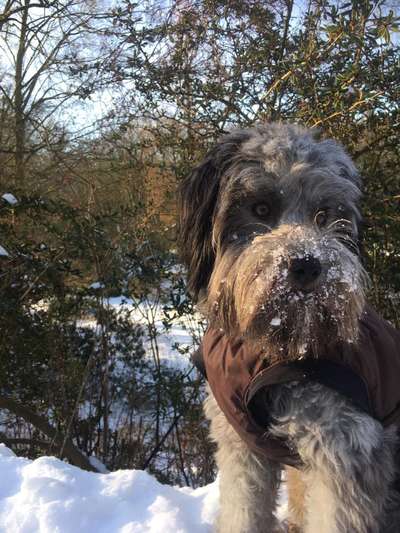 Handy-Foto-Challange Nr.9-Beitrag-Bild