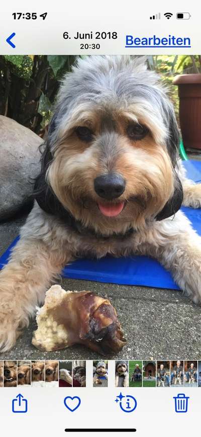 Tongue Out Tuesday-Beitrag-Bild