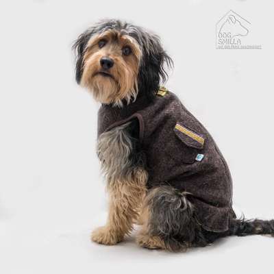 Foto's und Hundemodels-Beitrag-Bild