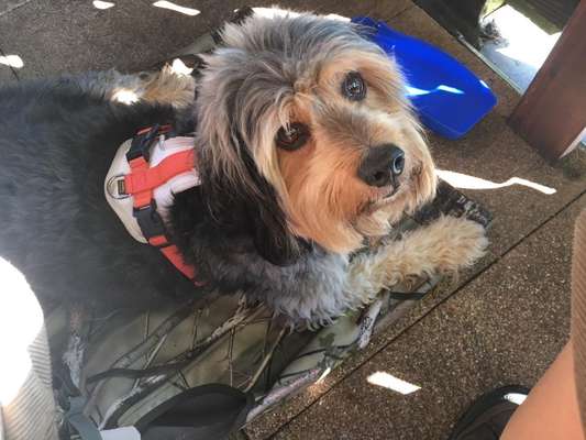 Handy-Foto Challange Nr. 10-Beitrag-Bild