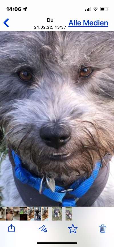 Das beste grinsefoto-Beitrag-Bild