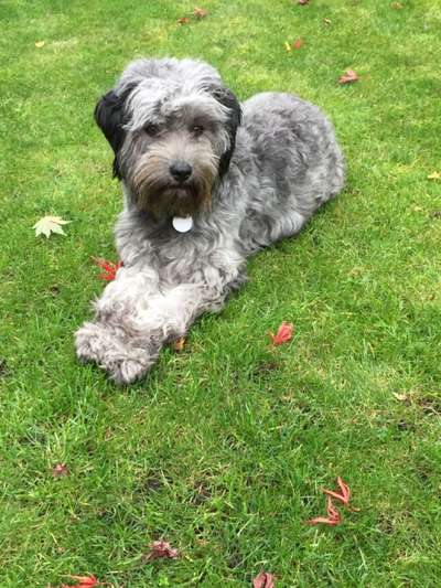 Doppelgänger gesucht !-Beitrag-Bild