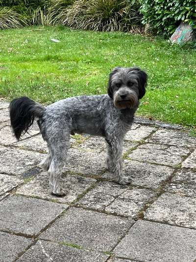 Doppelgänger gesucht !-Beitrag-Bild