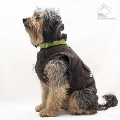 Foto's und Hundemodels-Beitrag-Bild