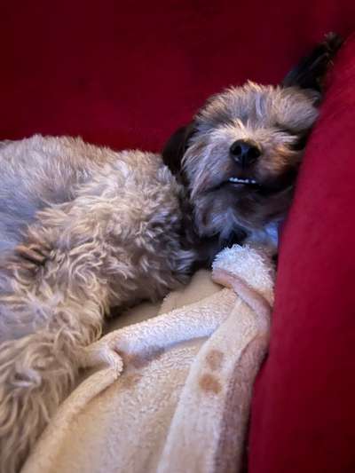 FOTO-Challenge  NR. 91: Die pure Entspannung-Beitrag-Bild