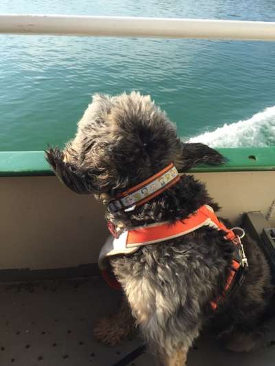 Foto-Challange No.1 - Alles aber nicht die Kamera-Beitrag-Bild