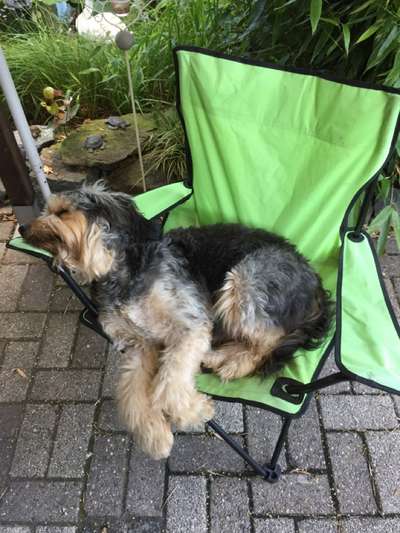 FOTO-Challenge  NR. 91: Die pure Entspannung-Beitrag-Bild