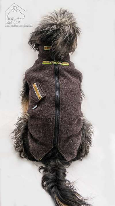 Foto's und Hundemodels-Beitrag-Bild