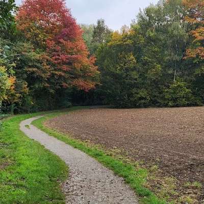 Hundeauslaufgebiet-Hexbachtal und Felder-Bild