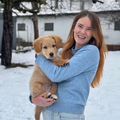 Hundetreffen-Junghunde Playdates & kleine Gassirunden-Bild