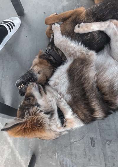 Challenge 30  Freundschaft-Beitrag-Bild