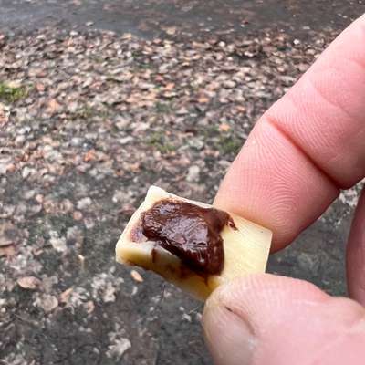 Giftköder-Giftköder-Bild