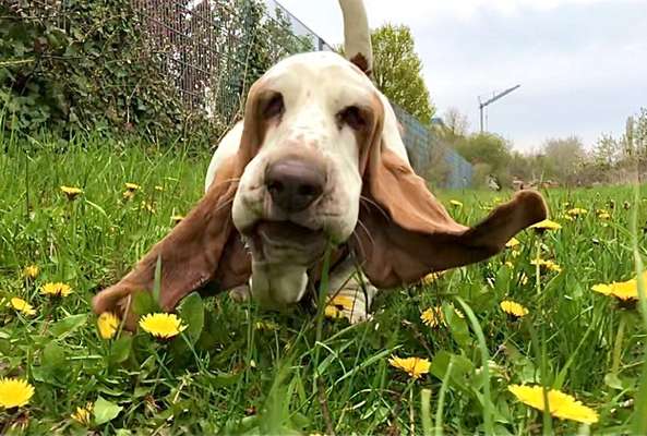 Fotochallenge Nr 50 Vom Winde verweht-Beitrag-Bild