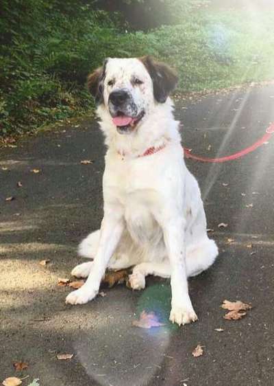 Gibt es Namens-Verwandte-Beitrag-Bild