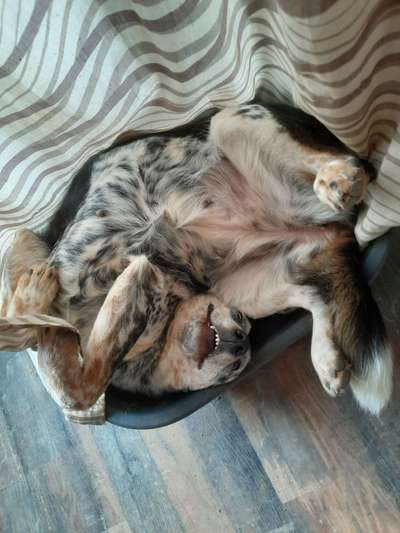 Die unbequemsten und lustigsten Schlafpositionen-Beitrag-Bild