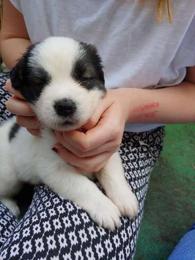 Gibt es Namens-Verwandte-Beitrag-Bild