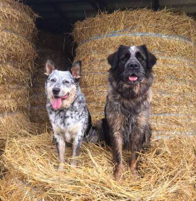 Gibt es Namens-Verwandte-Beitrag-Bild