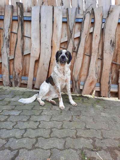 Gibt es Namens-Verwandte-Beitrag-Bild