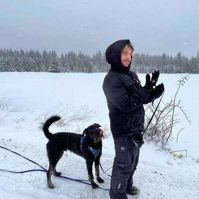 Hundetreffen-Gassirunde & Kontakte