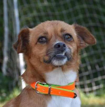 Fotochallange Nr. 57     PORTRÄT.   Beendet!!!!!!!!-Beitrag-Bild